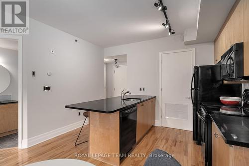 101 - 457 Mcleod Street, Ottawa, ON - Indoor Photo Showing Kitchen