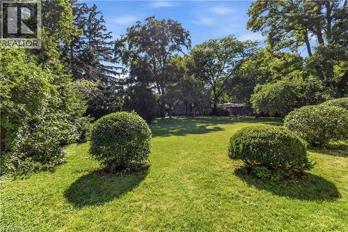 Expansive manicured lawn anchored by symmetrical rounded hedges and framed by mature shade trees - 974 Unsworth Avenue, Burlington, ON 