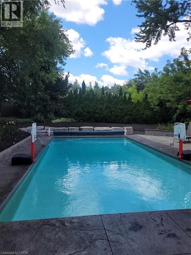 Resort-Style Swimming Pool with Turquoise Water and Concrete Decking, Flanked by Red Safety Equipment and Surrounded by Mature Evergreen and Deciduous Trees - 23 Bentley Place, Hamilton, ON - Outdoor With In Ground Pool With Backyard