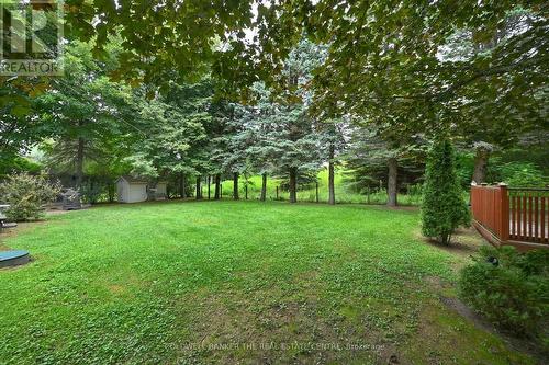 Backyard - 5471 8Th Line, Essa, ON - Outdoor