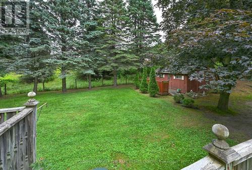 Yard view - 5471 8Th Line, Essa, ON - Outdoor