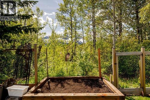 39 Elkview Drive, Fernie, BC - Outdoor