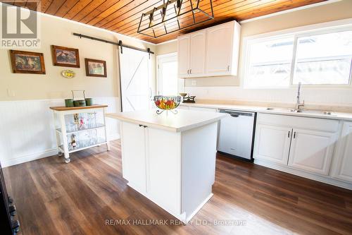 175 Concession 2 Road, Brock, ON - Indoor Photo Showing Kitchen With Double Sink
