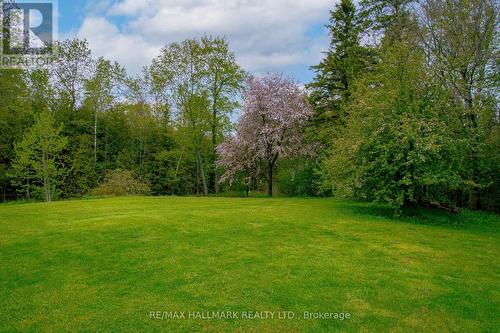 175 Concession 2 Road, Brock, ON - Outdoor
