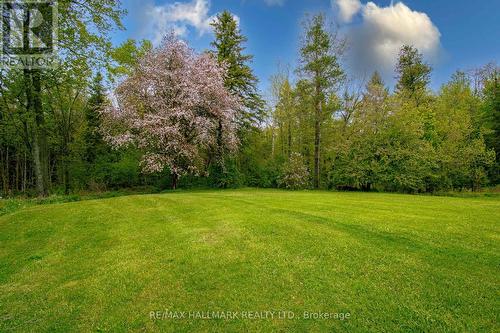 175 Concession 2 Road, Brock, ON - Outdoor