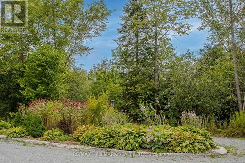 175 Concession 2 Road, Brock, ON - Outdoor With View