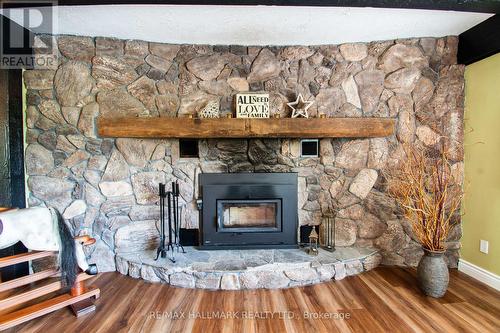 175 Concession 2 Road, Brock, ON - Indoor Photo Showing Living Room With Fireplace