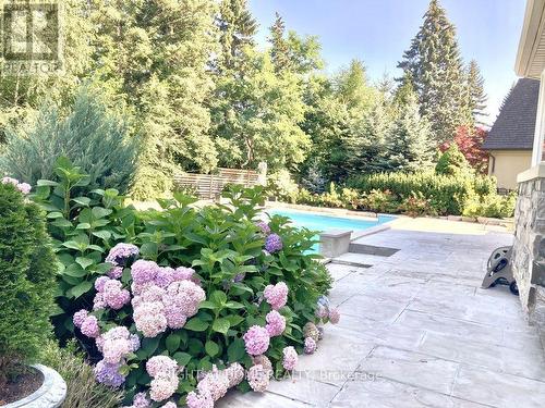 471 Country Club Crescent, Mississauga, ON - Outdoor With In Ground Pool