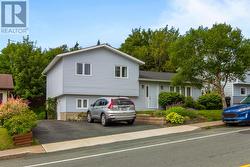 7 Tamarack Street St. John's, NL A1A 4S5