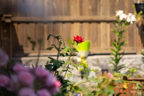 2939 Constellation Ave, Langford, BC 