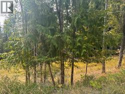 Lot 170 Estate Close Anglemont, BC V0E 1M8