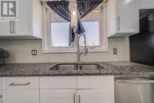 161 Kipling Avenue, Kitchener, ON - Indoor Photo Showing Kitchen With Double Sink