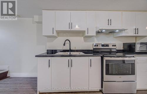161 Kipling Avenue, Kitchener, ON - Indoor Photo Showing Kitchen With Double Sink