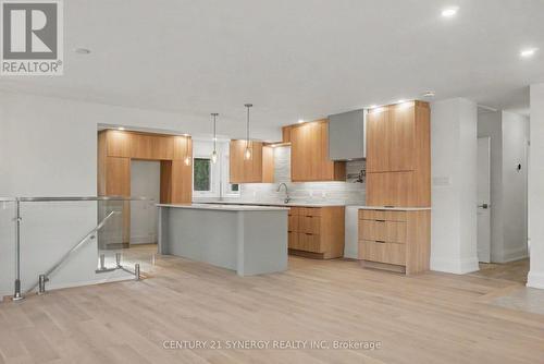 2238 Utah Street, Ottawa, ON - Indoor Photo Showing Kitchen With Upgraded Kitchen