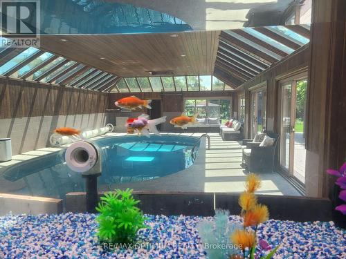 5859 Riverside Place, Mississauga, ON -  With In Ground Pool