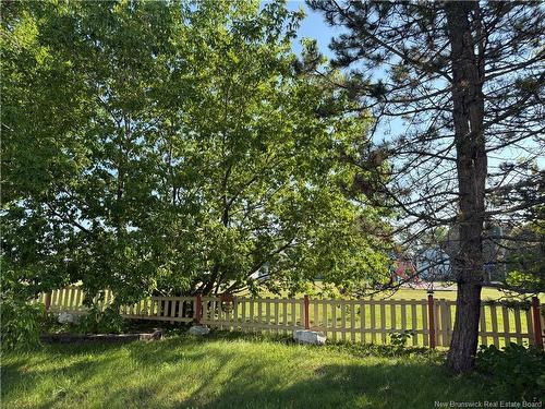 39 Warren Ave, Miramichi, NB 