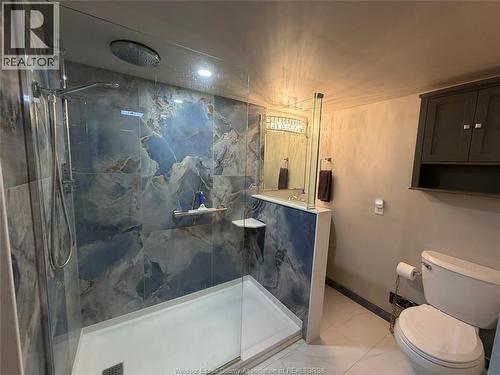 858 Laporte, Windsor, ON - Indoor Photo Showing Bathroom