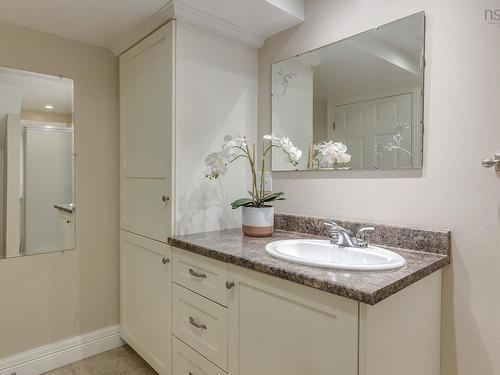 2821 Ralph Devlin Drive, Halifax, NS - Indoor Photo Showing Bathroom