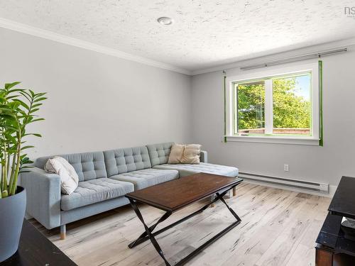 125 Appian Way, Dartmouth, NS - Indoor Photo Showing Living Room