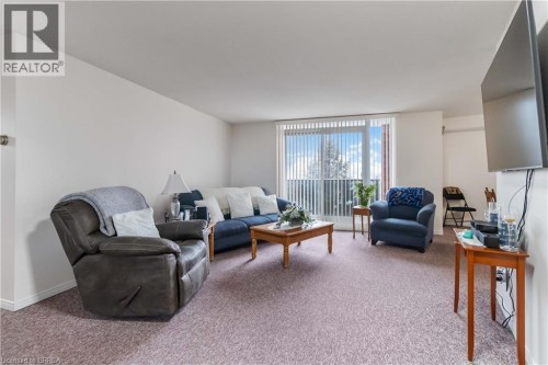 9 Bonheur Court Unit# 506, Brantford, ON - Indoor Photo Showing Living Room