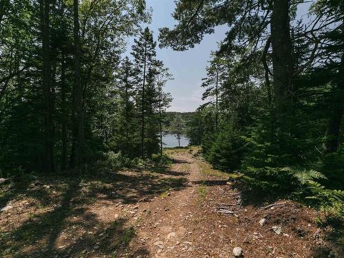 98 Borgalds Point Road, Chester Basin, NS 