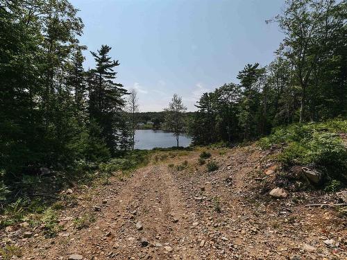 98 Borgalds Point Road, Chester Basin, NS 