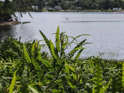98 Borgalds Point Road, Chester Basin, NS 