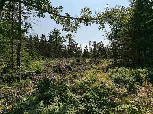 98 Borgalds Point Road, Chester Basin, NS 