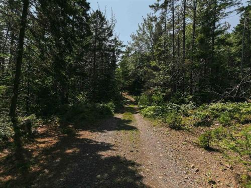 98 Borgalds Point Road, Chester Basin, NS 