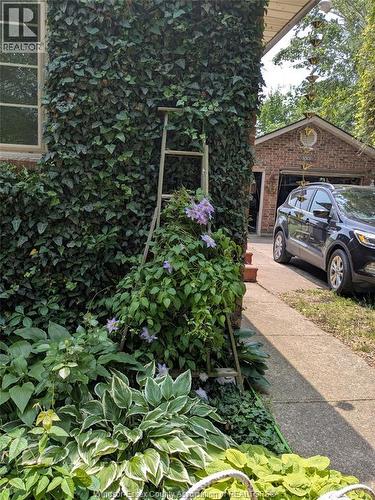 22 Patsy Lane, Pelee Island, ON - Outdoor