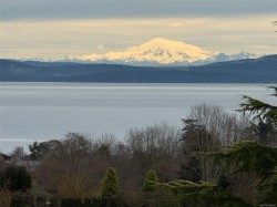 #204-5350 Sayward Hill Cres Saanich, BC V8Y 3H9