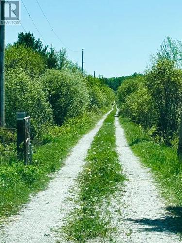 1173 Concession D-E Rd, Ramara, ON 