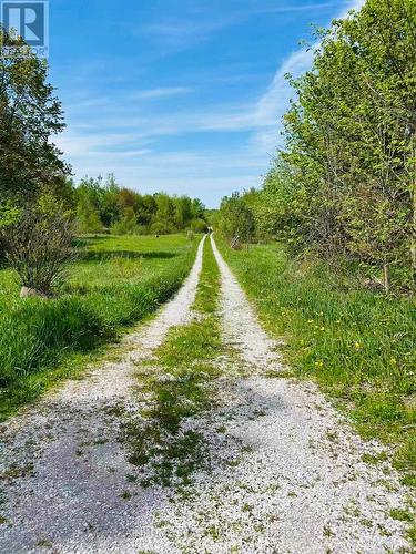 1173 Concession D-E Rd, Ramara, ON 