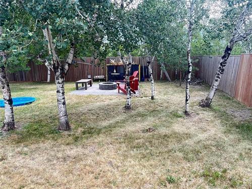 195 4Th Avenue, Rivers, MB - Outdoor