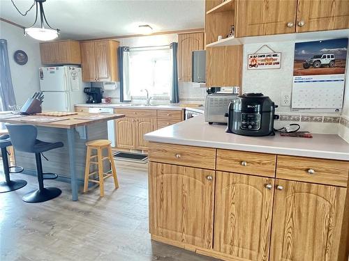 195 4Th Avenue, Rivers, MB - Indoor Photo Showing Kitchen