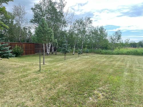 195 4Th Avenue, Rivers, MB - Outdoor