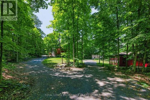 3063 Brewers Mills Road, Kingston (City North Of 401), ON - Outdoor
