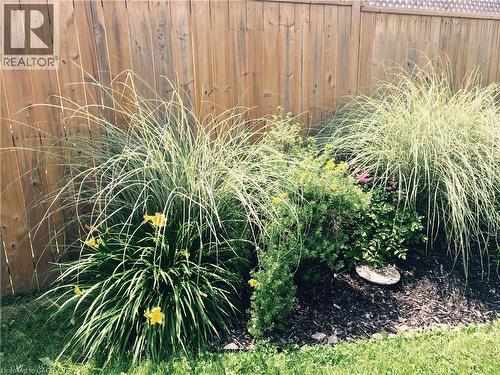 11 Wordsworth Place Unit# Upper, Kitchener, ON - Outdoor