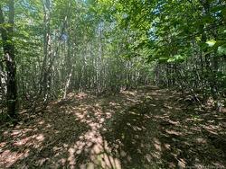 Wood Lot Green RD Elgin, NB E4Z 1T6