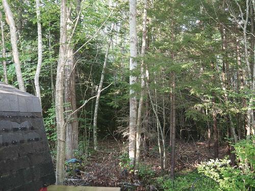 75 Bruce Drive, Lower Sackville, NS - Outdoor