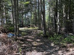 25-5 FACTORY Road Pictou Island, NS B0K 1J0