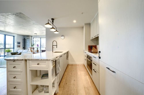 Cuisine - 517-1575 Rue Gareau, Montréal (Ville-Marie), QC - Indoor Photo Showing Kitchen With Upgraded Kitchen