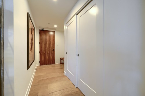 Hall d'entrée/Vestibule - 517-1575 Rue Gareau, Montréal (Ville-Marie), QC - Indoor Photo Showing Other Room
