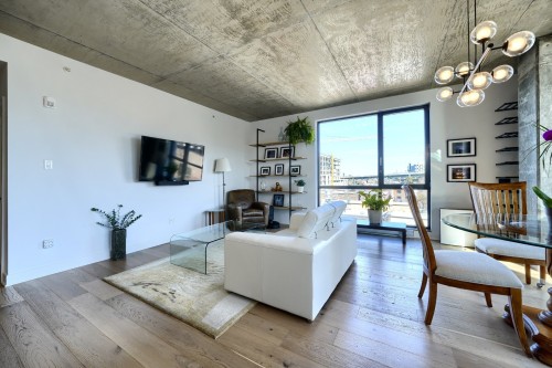 Salon - 517-1575 Rue Gareau, Montréal (Ville-Marie), QC - Indoor Photo Showing Living Room