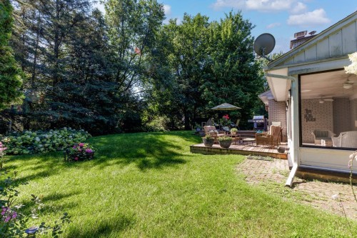 Cour - 95 Rue Maple, Hudson, QC - Outdoor