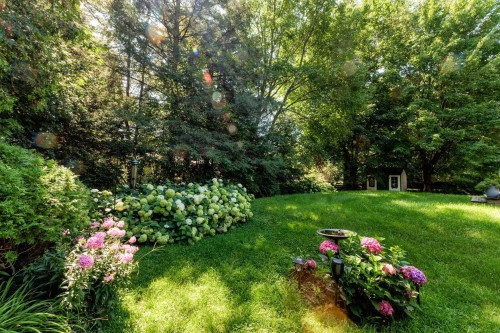 Cour - 95 Rue Maple, Hudson, QC - Outdoor