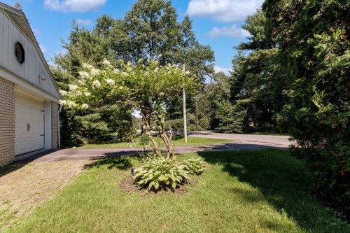 Cour - 95 Rue Maple, Hudson, QC - Outdoor