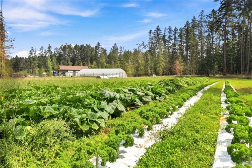 1704 Matterson Rd, Errington, BC 