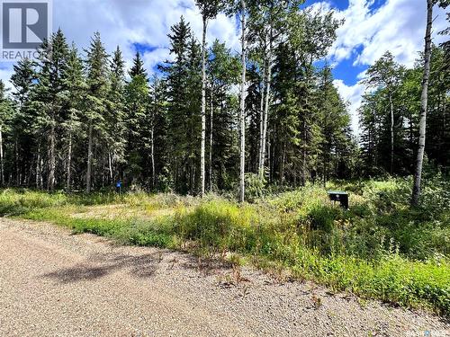 Lot 24 Turtle Cove, Turtle Lake, SK 