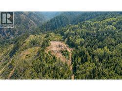 LOT 1 ELLIOT FOREST SERVICE Road Lemon Creek, BC V0G 2C0